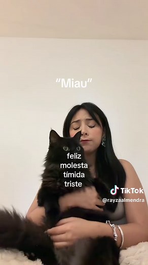Miau feliz, molesta, tímida y triste — desafío del “Miau”