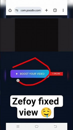 zefoy view problems solved