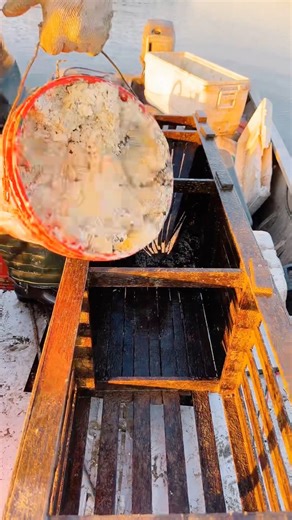 701K views · 5.4K reactions | It puts the cheese in the trap. Sometimes you gotta get stinky to get what you want dude. #Catfish #trap #bait #fyi #diy #fishing #cheese | Red beards catfish traps | Facebook