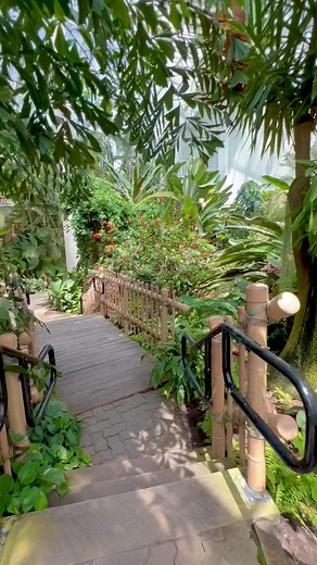 Experience Tropical Vibes in Fort Wayne, Indiana