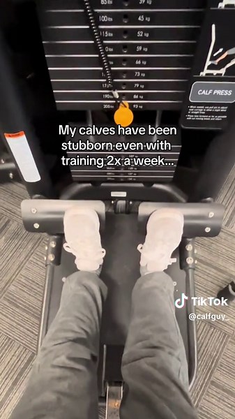 Training Calves Daily: Day 19 Progress Update