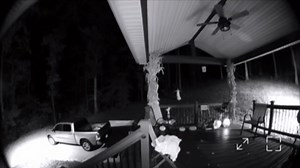 10K views · 41 reactions | Mysterious Nighttime Visitor Caught on...