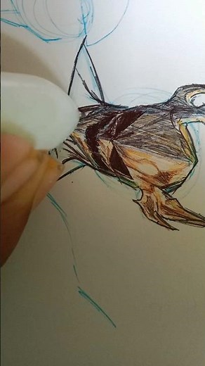 skull drawing