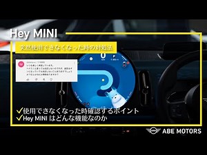 [You'll be missing out if you don't know] What to do when Hey MINI isn't responding & what to do ...