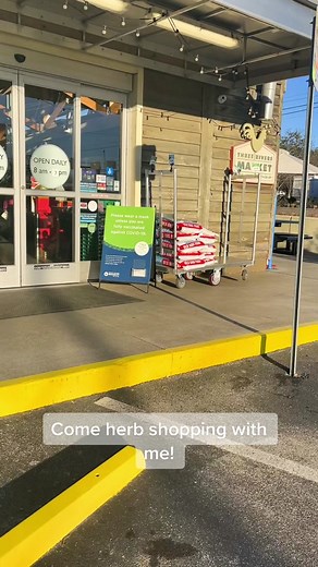 Exploring Herb Shops for Witch Kits