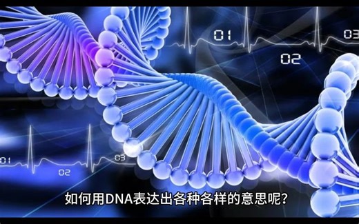 DNA编码教程[学会就能编辑DNA了