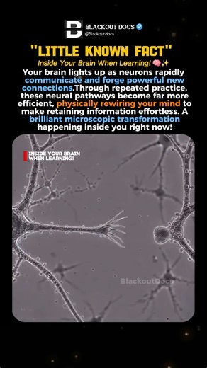 This is What Happens in Your Brain When You Learn Something New #shorts