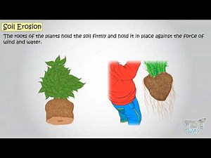 Soil (Part-3) | Soil Erosion | Science | Grade-3,4 | Tutway|