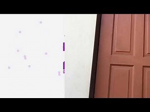 IF YOUR WALLET WAS ABLE TO TALK