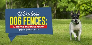 12 Pros and Cons of Wireless Fences [Infographic]