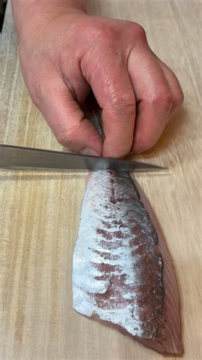 伊東 正樹 (鮨 若大将) on Instagram: "淡路島 釣りアジ！ #江戸川区グルメ #江戸川区すし #鮨若大将 #一之江すし#一之江グルメ 瑞江すし 瑞江グルメ 10000円コース 二刀流 町すし 鮨若大将 俺の美味いよ 江戸川区すし 素人動画"