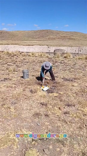 16K views · 80 reactions | análisis de suelo para cultivo forrajes, parte 3 | El Ganadero | Facebook