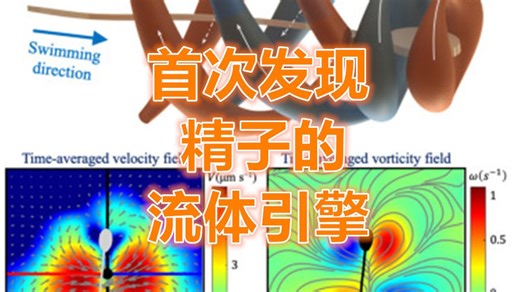 《今日科学》精子有像曲率式的引擎？竟靠制造三维超螺旋流体加速！