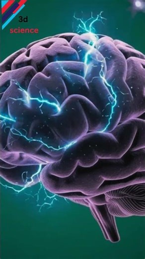 Your Brain Who's in Control | The Brain in Detail Exploded #3dscienceproject #brain #science