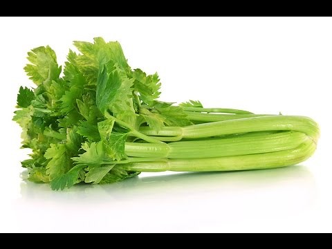 [Celery] Crunch Sound Effect