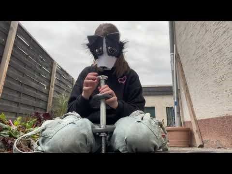 Mein Hanteltraining! So trainiere ich