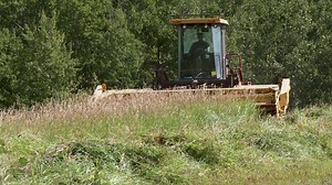 Keith Badinski wanted to take advantage of the power unit on his 4750 Versatile SP swather to permit to run a New Holland 1116 Haybine in place of the swather header. After making a frame out of 250 wall heavy duty square tubing and flat iron bracing he was able to mount the 16 foot New Holland Haybine to the swather power unit. | Prairie Farm Report