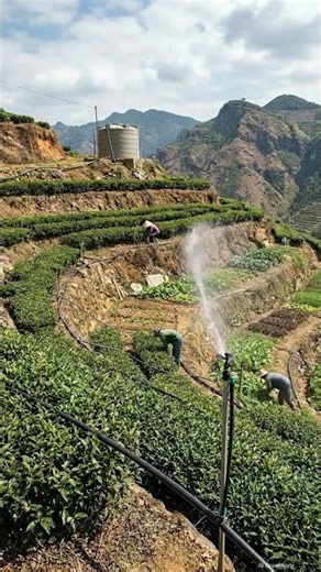 Irrigation System in Hilly Areas |GreenAgrix