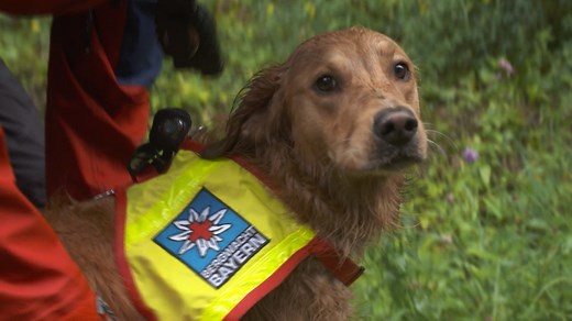 MausSpezial: Rettungshündin Chilli wird ausgebildet