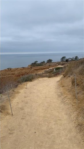 The Walk To This Torrey Pines View Is Worth Every Step 🌊