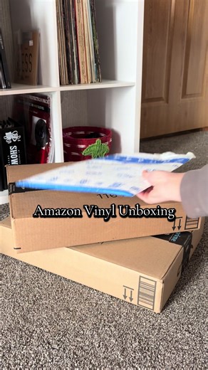 Vinyl Records Unboxing and Sleeving Video