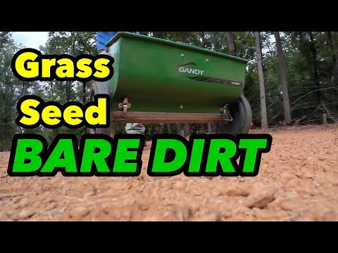 Planting Grass Seed Bare Dirt Start to Finish