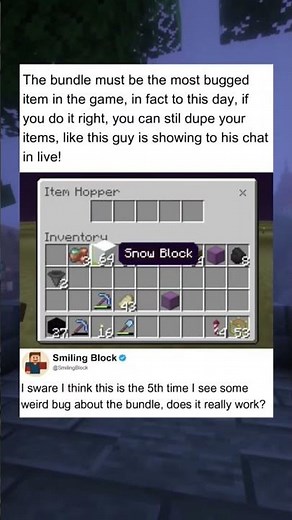 YET another BUNDLE bug #minecraft