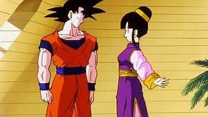 Dragon Ball Z: Season 5 Episode 147 Time Chamber