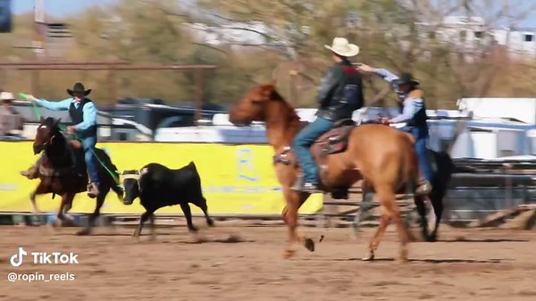 Cowboy Classy: Team Roping on a Cool Morning