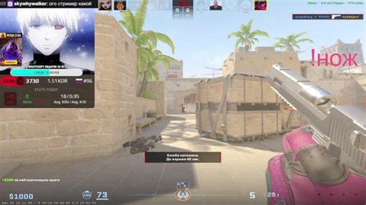 КОРОЛИ ФЕЙСИТА✅ @m0NESYof w @donk1437 /!Розыгрыш!elo !донат !роспись!курятник