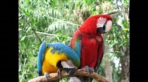 ONE PARTICULAR HARBOR Lyrics - JIMMY BUFFETT | eLyrics.net