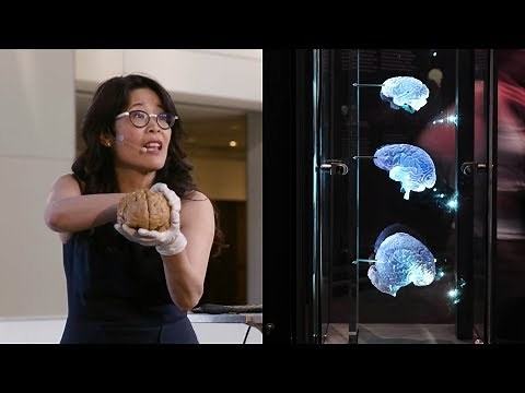 Exercise Your Brain - AMNH SciCafe
