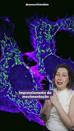 Melhores imagens de 2025 do mundo microscópico