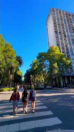 Me gusta mucho la vibra urbana que tiene la Boulevard Oroño en #rosario #shorts #argentina #cities