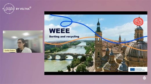 LOOPS | Advanced Sorting as a Key Enabler for Circular WEEE Value Chains | Cecilia Chaine