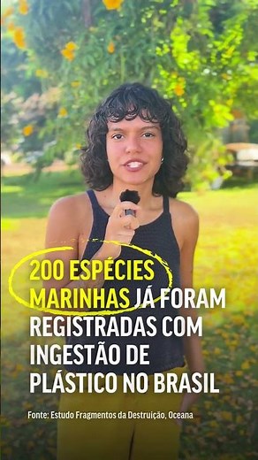 O que falta para avançar contra a poluição por plásticos?