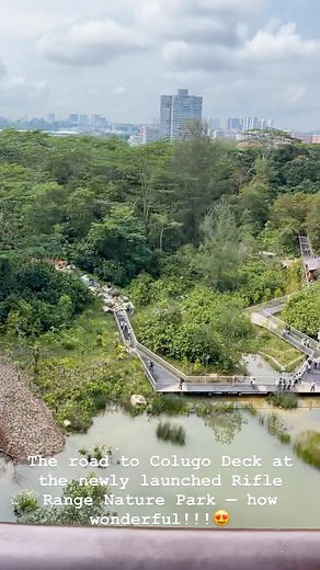 The wonderful Rifle Range Nature Park — just launched today #parks #greenery #cityinnature #cityinnaturesg #singapore #sgmemory | The Long and Winding Road