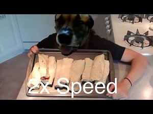 Dog Eats Bean Burrito in 1 second (2x speed :p)