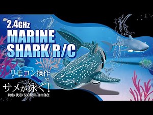 2.4GHz MARINE SHARK RC