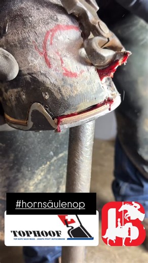 Dorian Bindler on Instagram: "HORNSÄULE /KERATOM 🐴 what you need to know 🫵 Keratom = säulenförmige Verdickung des Hufhorns, die nach innen in den Huf hineinreicht; klassisch zylindrisch (parallel zu den Horntubuli), es gibt auch eine kugelige Form, die überall in der Hufkapsel auftreten kann. Wahrscheinlicher Auslöser: lokale Entzündung oder Trauma im Übergangsbereich zwischen neu gebildetem Horn am Kronrand und Hufwand → Narbengewebe, das mit dem Horn distal “mitwächst”. • Auch ein Hufabszess