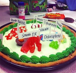 3-D Animal & Plant Cell