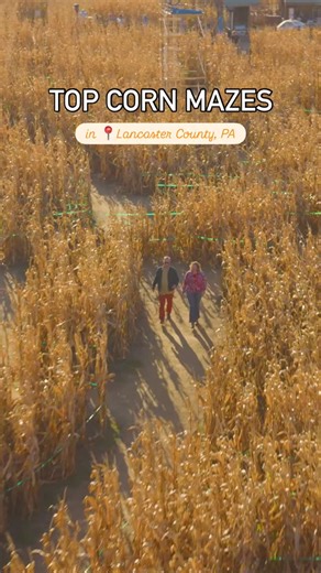 4.4K views · 105 reactions | Looking for the best corn mazes in Lancaster County, PA?  Tip!  Cherry Crest Adventure Farm has a flashlight maze! Here a list of where corn mazes are happening. Tell us where you are going to go! - Cherry Crest Adventure Farm - Oregon Dairy - Amish Farm & House - Corn Cob Acres - Barnyard Kingdom - Bird-in-Hand Bakery & Cafe | Discover Lancaster | Facebook