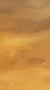 4K views · 24 reactions |...