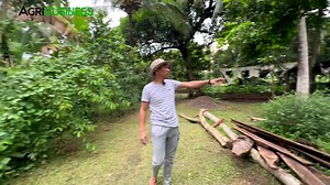 8.9K views · 160 reactions | FARM TOUR: Importance of Farm Owner as Laborer? Ensuring Sustainability! Arnel Marasigan, Uma Verde Econature Farm 09173006422, Candelaria, Quezon Province. AGRIBUSINESS MERCH https://shopee.ph/agribusinesshowitworks | WANT TO BE FEATURED? CONTACT Messenger: Buddy Gancenia, 09178277770 | Agribusiness How It Works. Instruct. Inspire. Succeed. | Agribusiness | Facebook