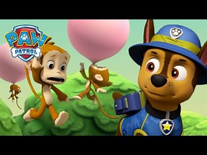 Jungle Pups Rescue the bubble blowing Monkeys! | PAW Patrol | Cartoons for Kids Compilation - Videos For Kids