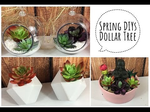 3 Succulent DIY | Dollar Tree | Home Decor