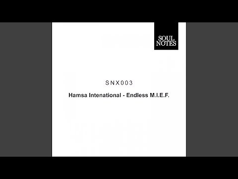 Endless M.I.E.F. (Original Mix)