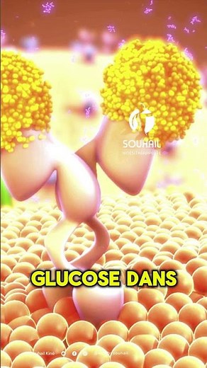 Insulin in 60 Seconds: Everything You Need to Know