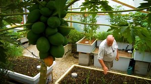 49K views · 1.4K reactions | The Principles of Aquaponics are very simple but the mastery requires some work. We're now into Week-2 of our 8-Week Online Course and students are now delving in the chemistry of maintaining a balanced aquaponics system with the right pH for excellent plant growth and fish health. | Aquaponics Design Course | Facebook