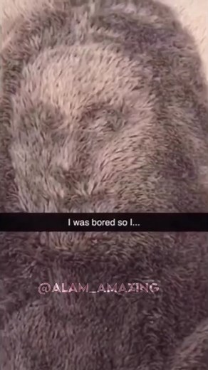 Exploring Creativity Through Art and Nature